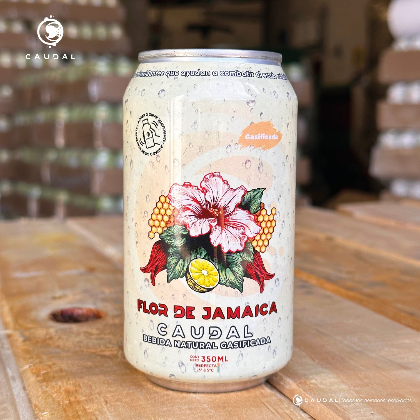 BEBIDA GASIFICADA DE FLOR DE JAMAICA Hibiscus (Caja de 24 latas)