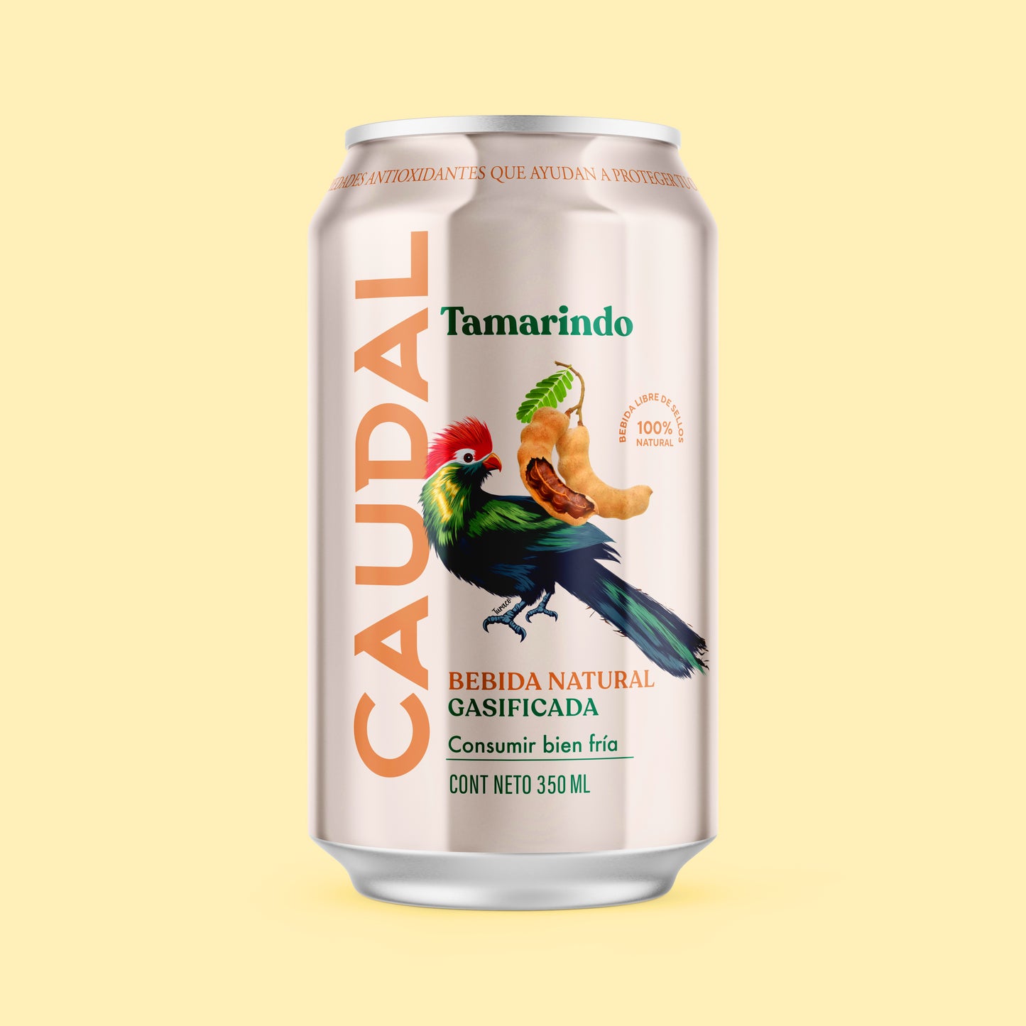 BEBIDA GASIFICADA DE TAMARINDO (caja de 24 latas)