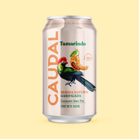 BEBIDA GASIFICADA DE TAMARINDO (caja de 24 latas)